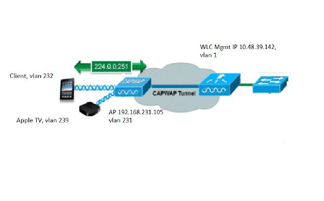 Network Diagram